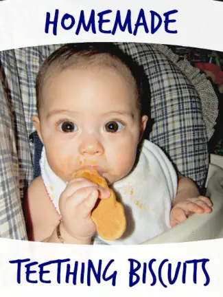 teething biscuit recipe