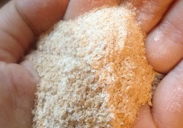 fresh ground home made wheat flour