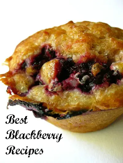 Delicious looking blackberry muffin. Flickr image by Rochelle