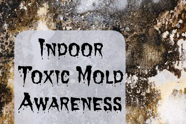 Black Mold Archives Removal Asd Environmental Wilmington If Inhaled In Large Quanies Spores Of Stachybotrys Can Cause Health Problems Such As Allergic Reactions Similar To Hay Fever