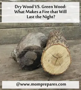 The dry wood on the left burns quickly, while the green wood on the right burns slower. Image by Aprille Ross 