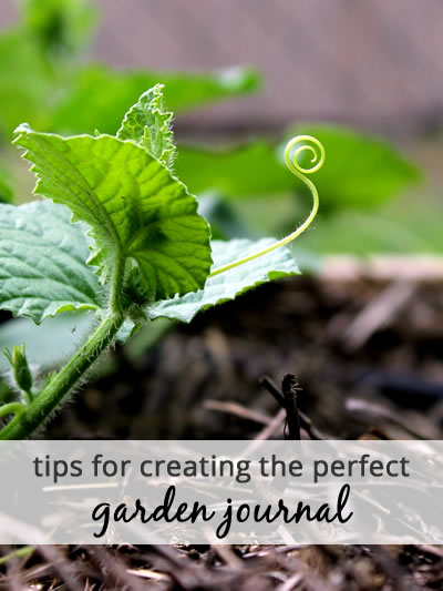 Tips for Creating a Garden Journal &ndash; Mom Prepares