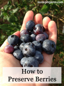 How to Preserve Berries