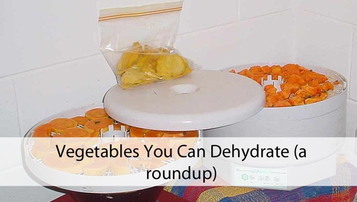 Vegetables You Can Dehydrate (a roundup)