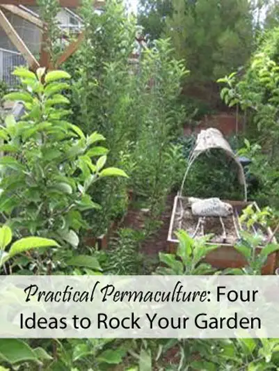 Practical Permaculture: Four Ideas to Rock Your Garden