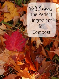 Fall Leaves: The Perfect Ingredient for Compost