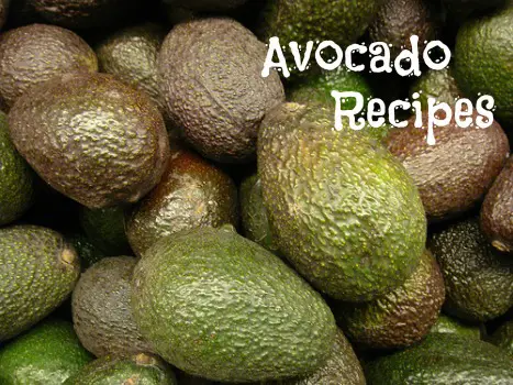 Avocados ready for your next recipe! Flickr photo by ollesvensson