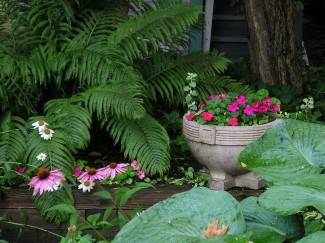 Mix colors in the shade for a pretty garden full of life. Photo by Sue Manus