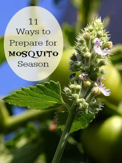 11 Ways to Prepare for Mosquito Season – Mom Prepares