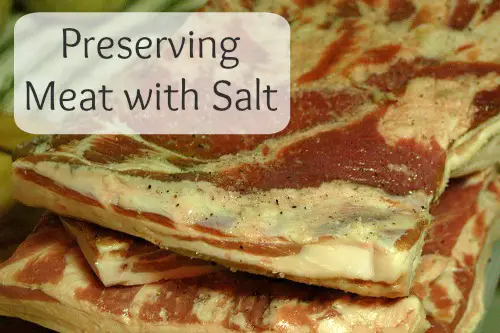 Preserving Meat With Salt Mom Prepares