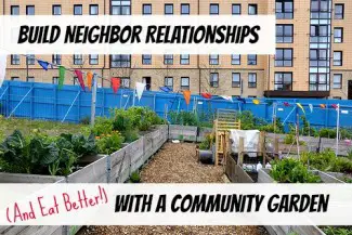 start a community garden