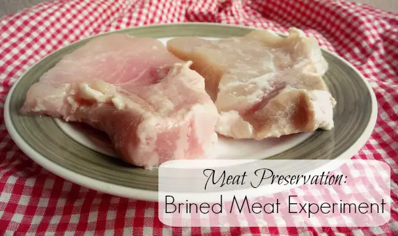 Meat Preservation Brined Meat Experiment