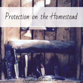 Protection on the Homestead - Tammy Trayer's Favorite Knives for Women