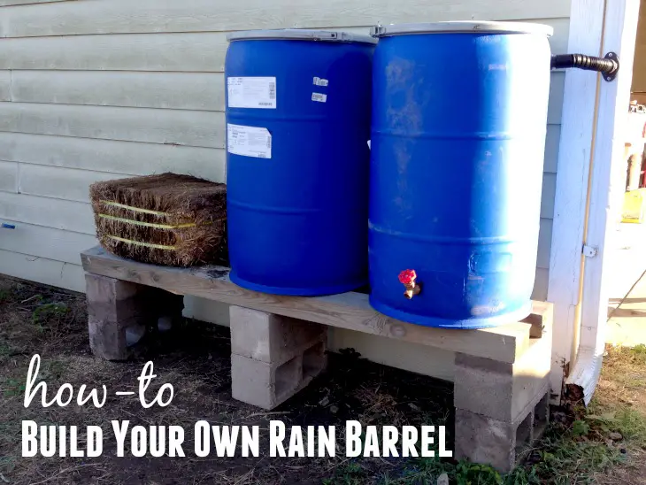 How to Build Your Own Rain Barrel