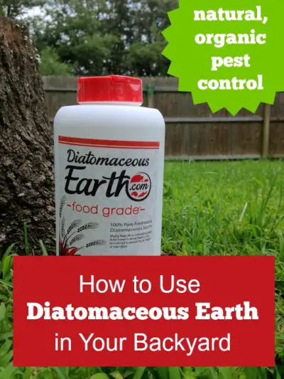 How to Use Diatomaceous Earth for Natural Pest Control