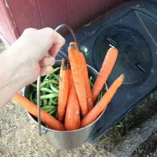 Adding scraps to the compost tumbler