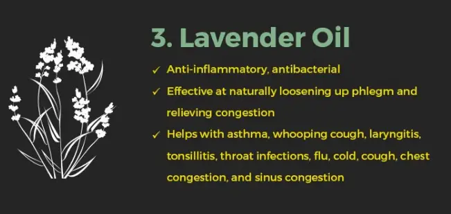 lavender-for-cough