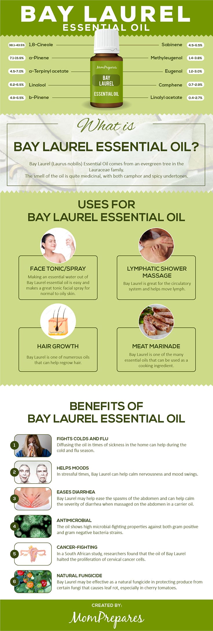 Bay Essential Oil (Laurel)  The Complete Uses and Benefits Guide