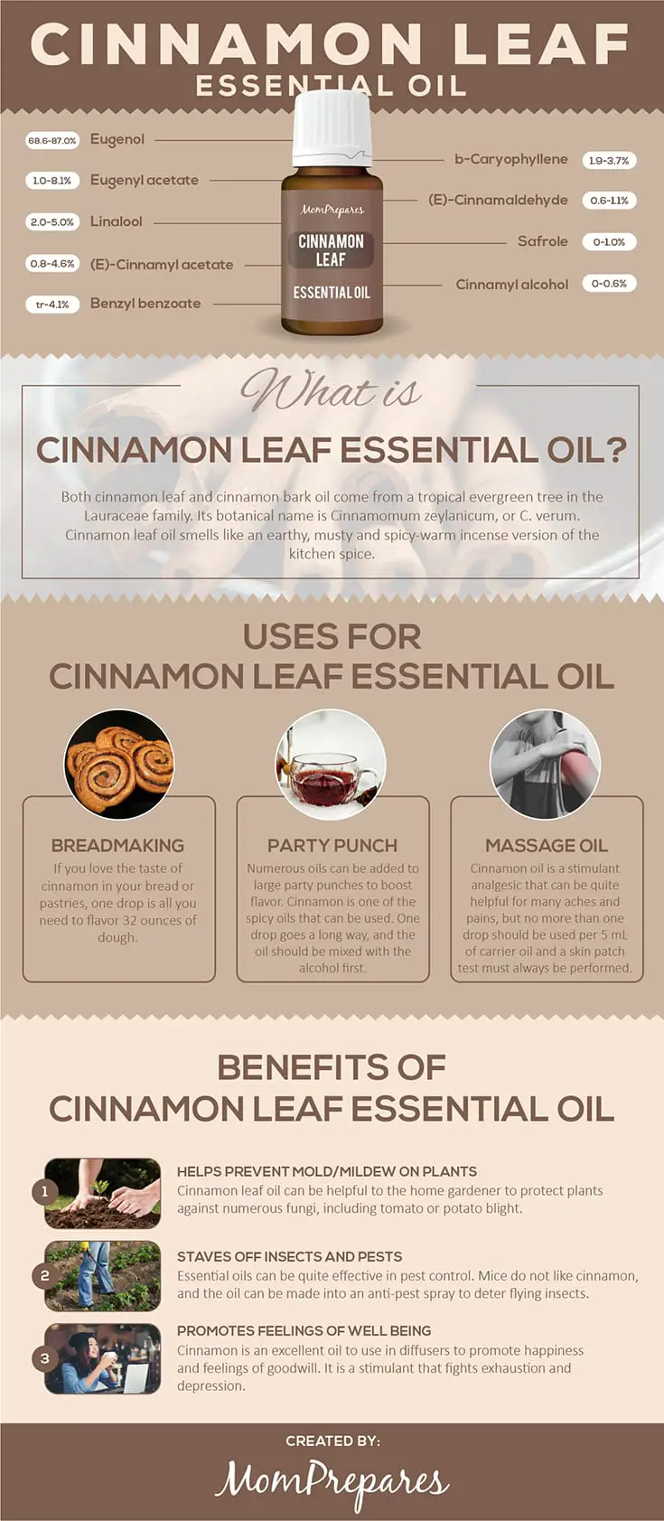 Cinnamon infographic