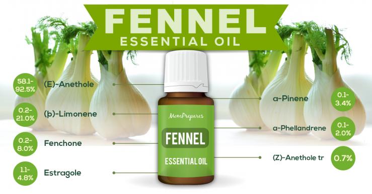 Fennel essential oil constituents