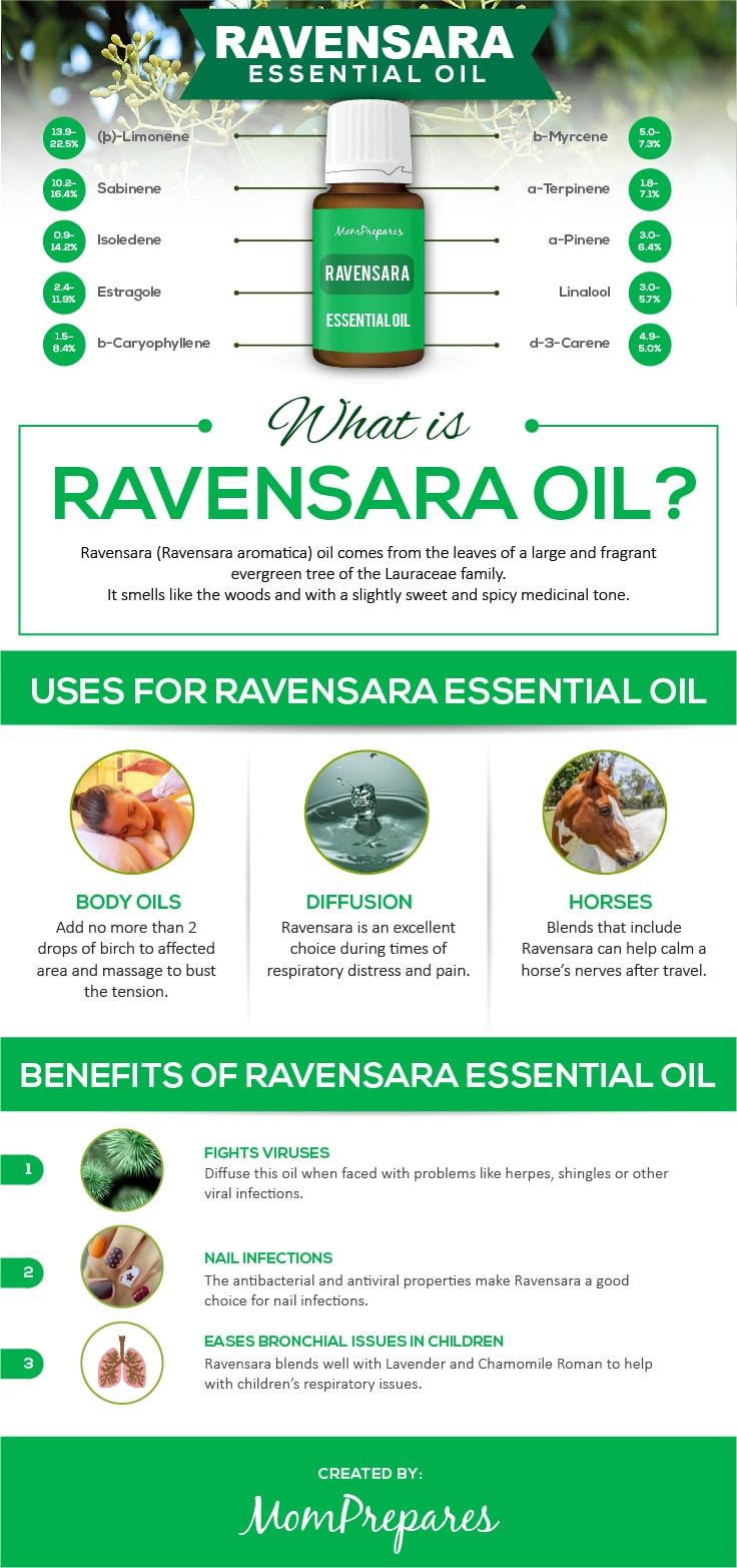 Ravensara Essential Oil The Complete Uses and Benefits Guide Mom