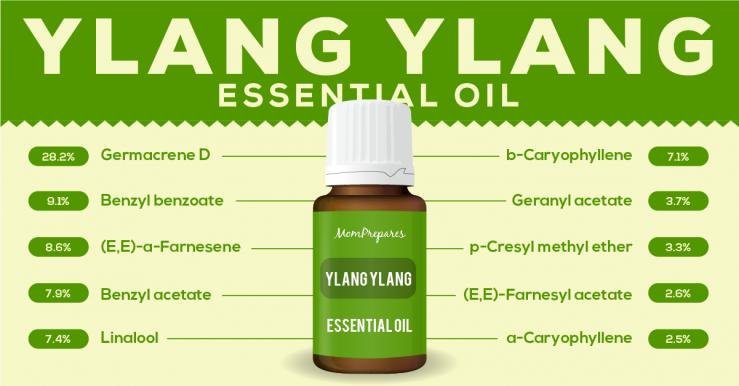 Ylang Ylang essential oil constituents