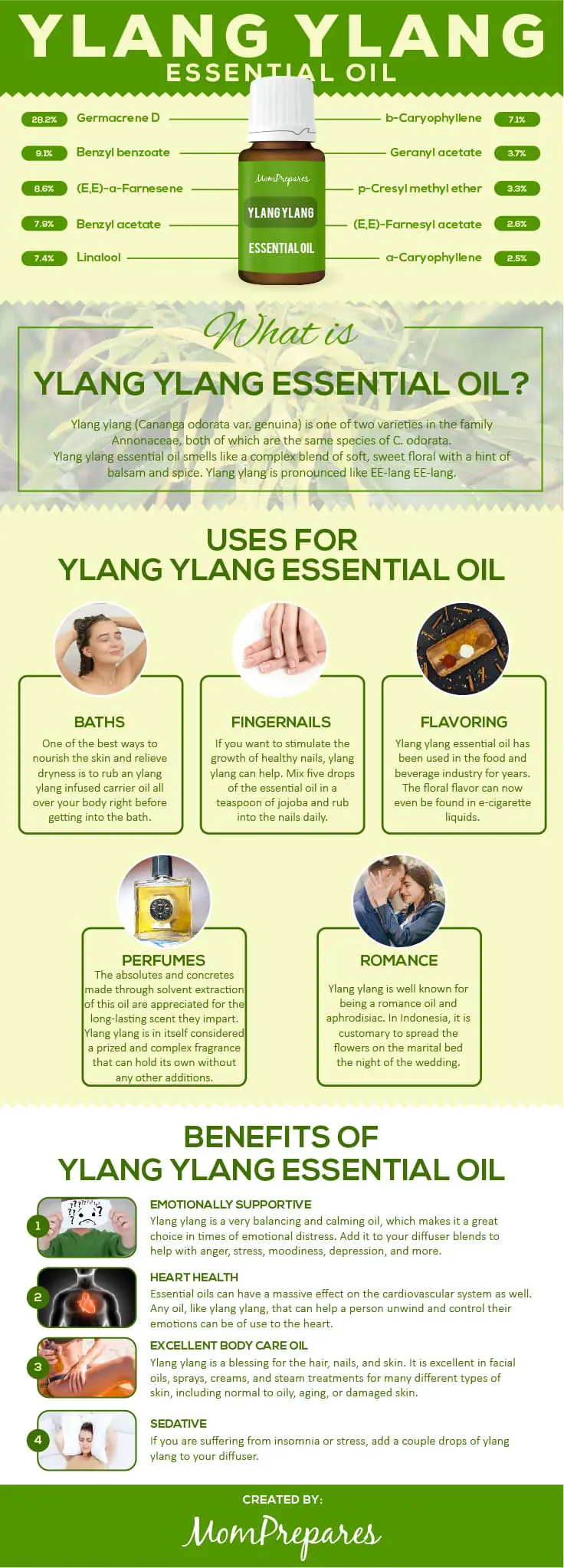 Ylang Ylang infographic