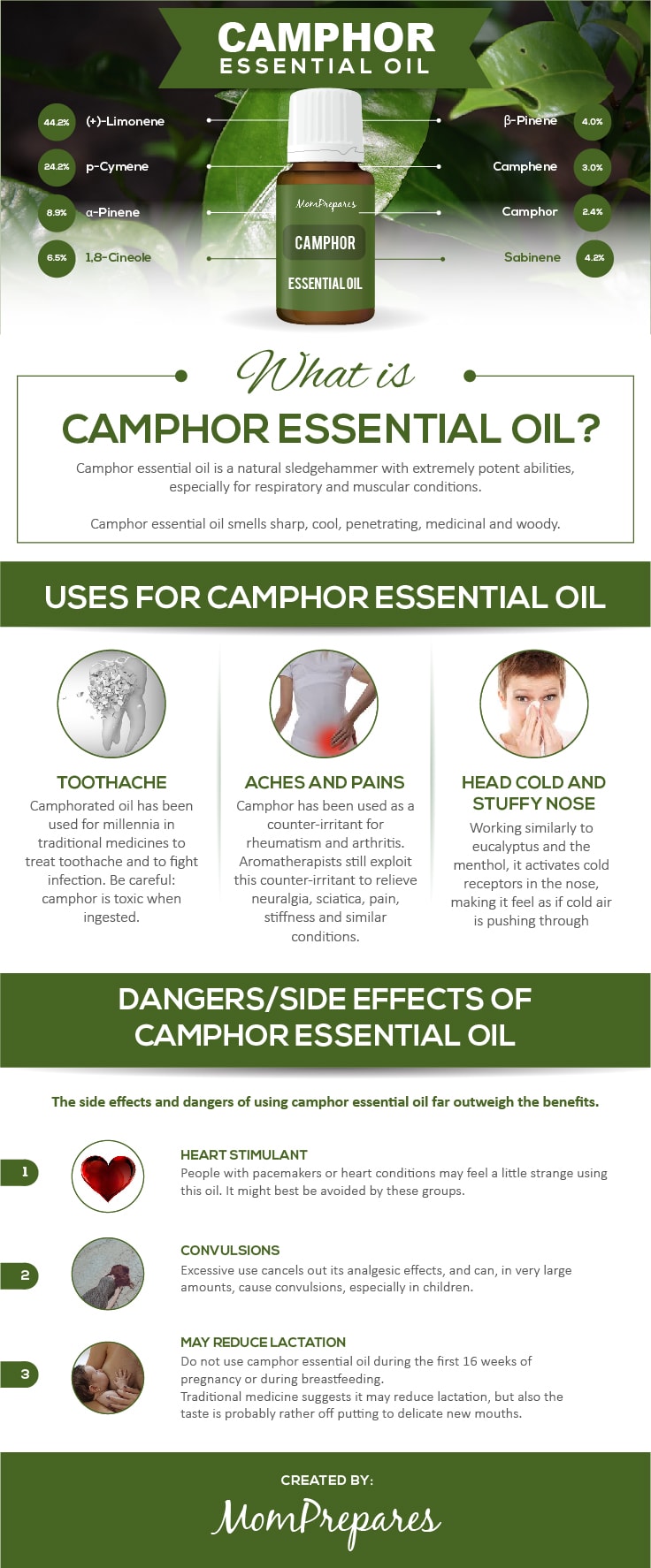 Camphor Essential Oil The Complete Uses Benefits And Dangers Guide