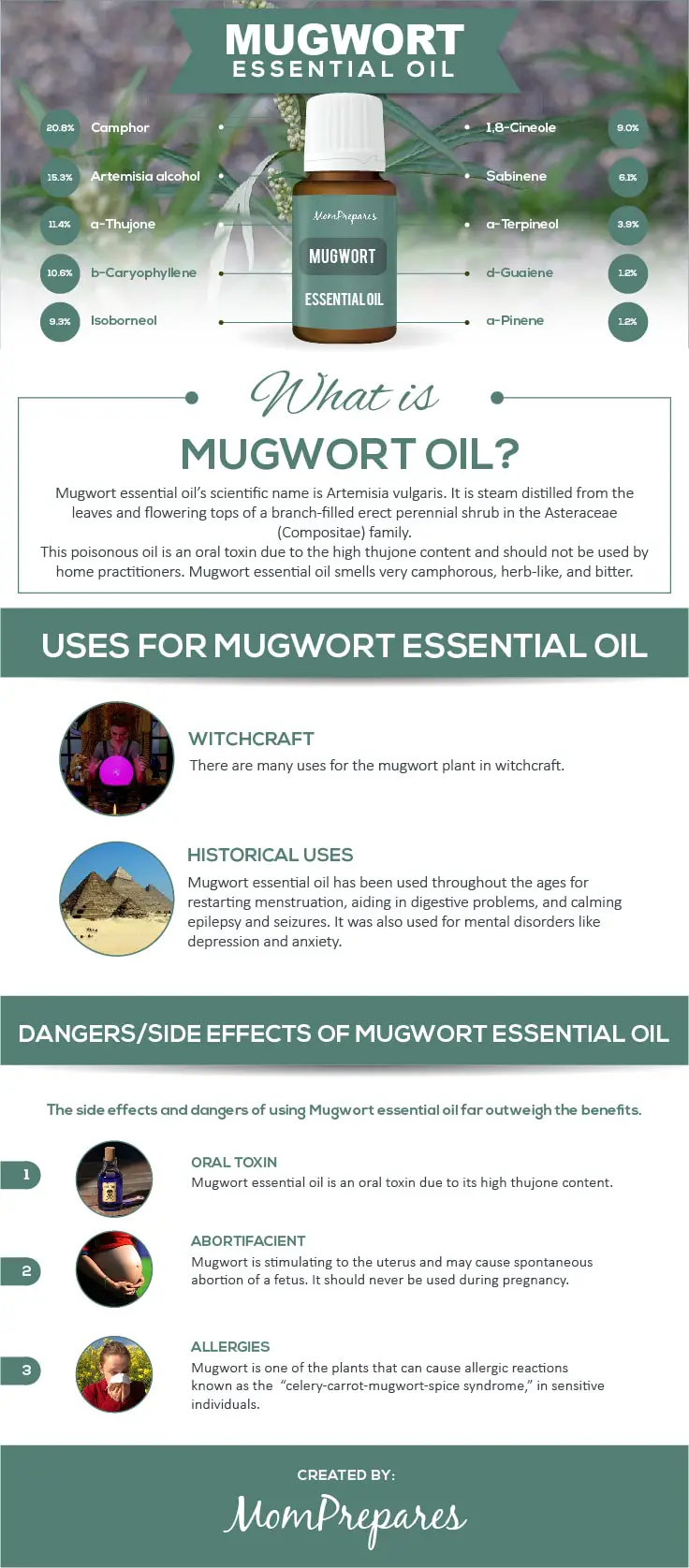 Mugwort infographic
