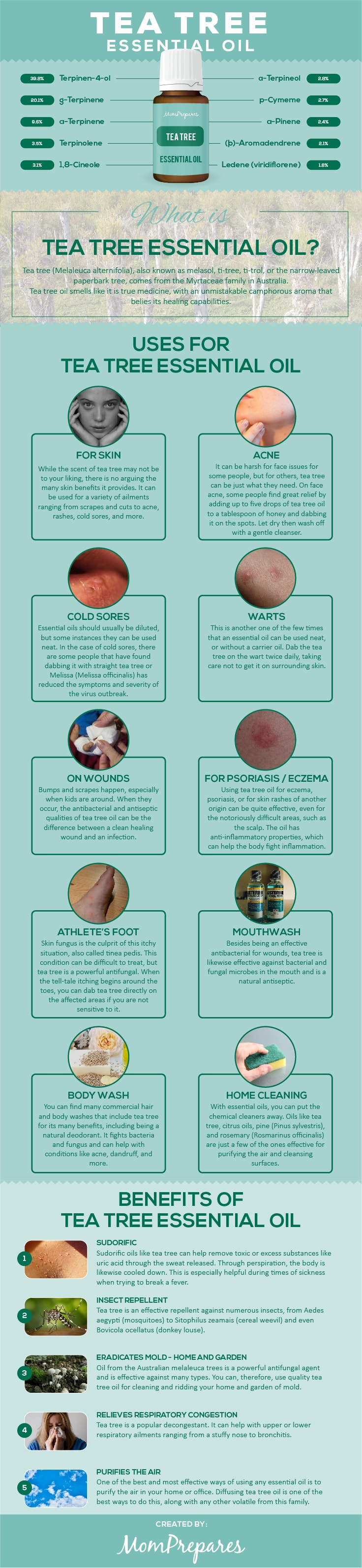 Tea Tree infographic