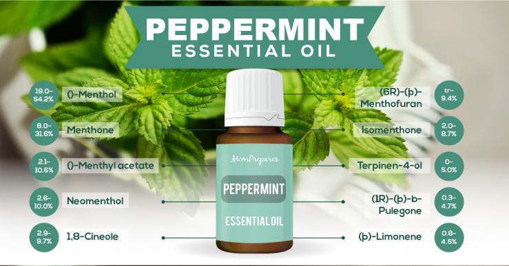 peppermint essential oil constituents