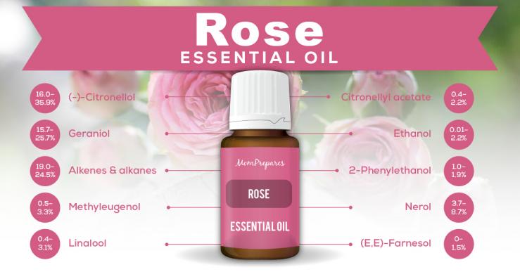 20 Best Essential Oils For Sex And Increased Libido Backed By Research Mom Prepares 