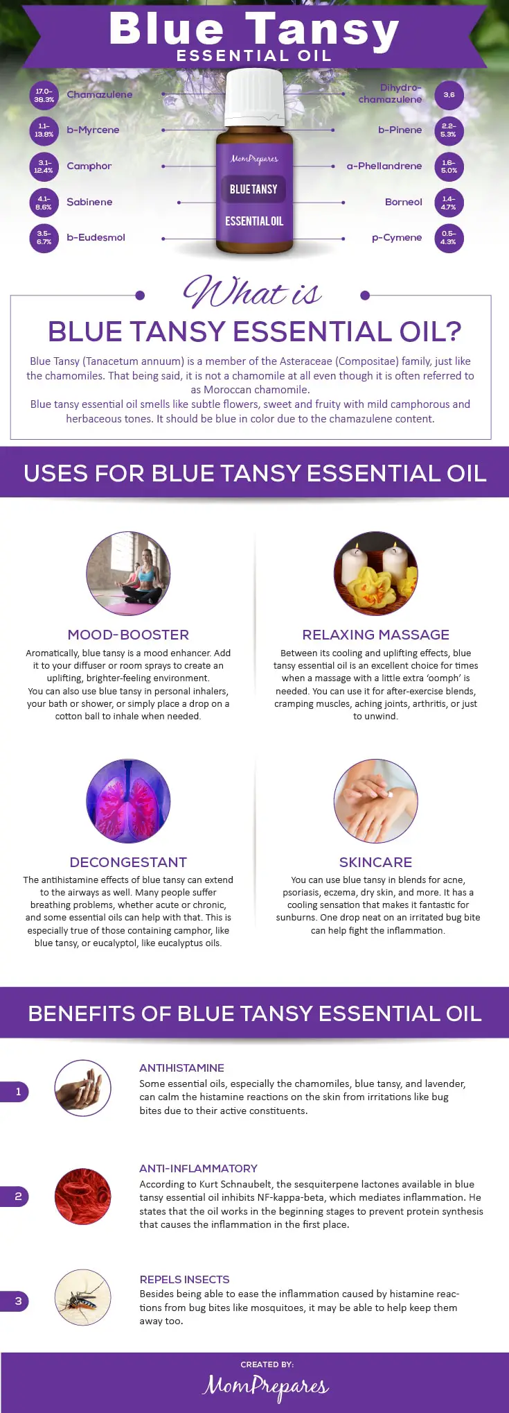 Blue Tansy infographic