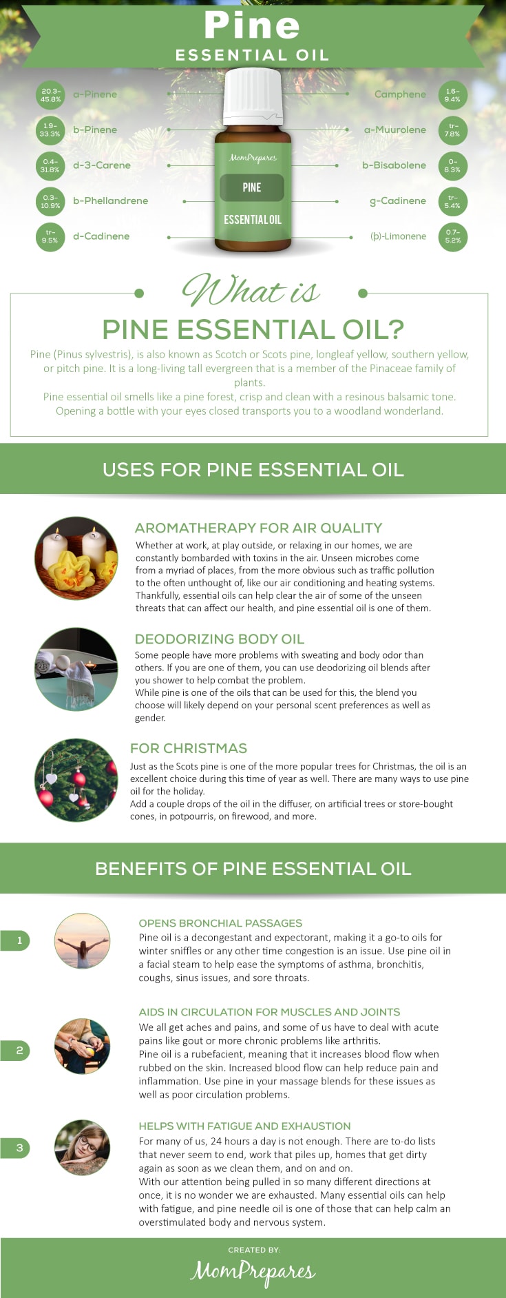 Pine infographic