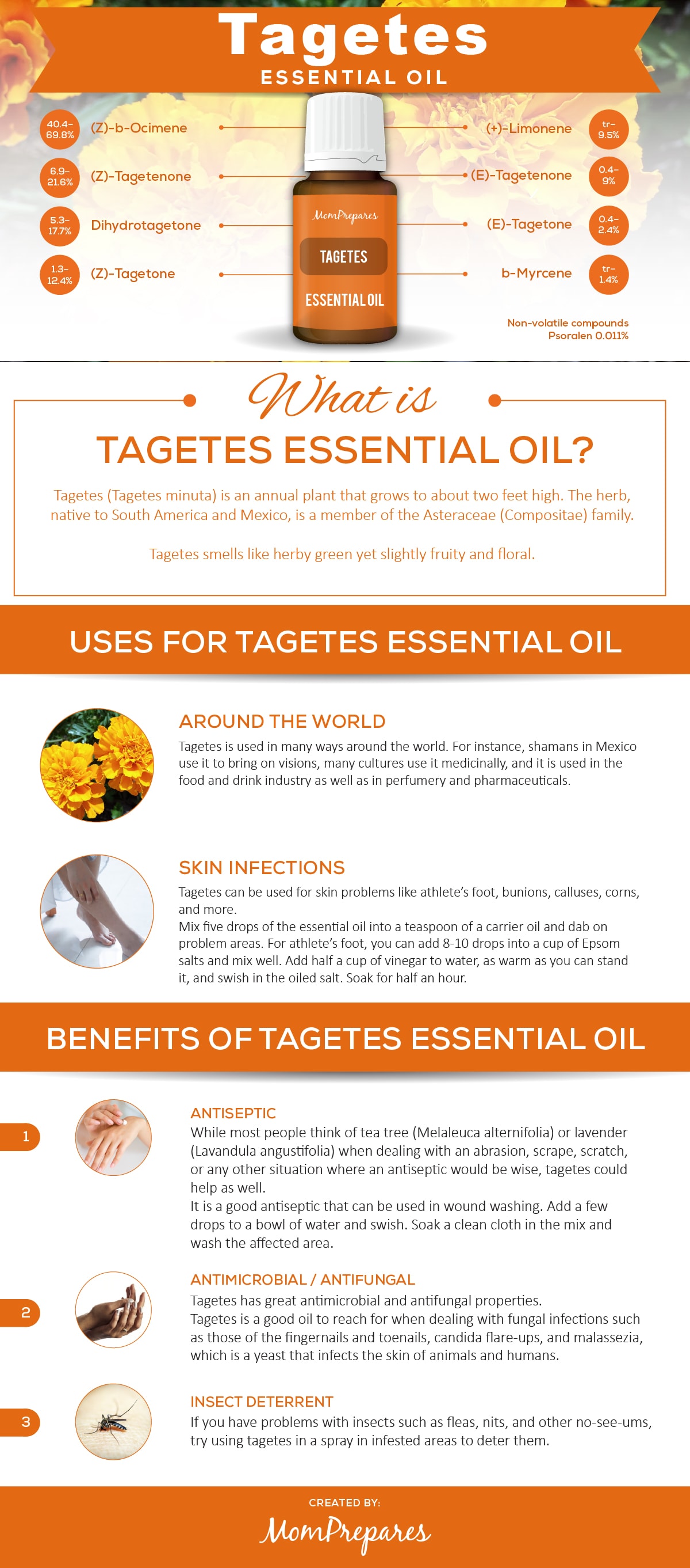 Tagetes Essential Oil – The Complete Uses and Benefits Guide – Mom Prepares