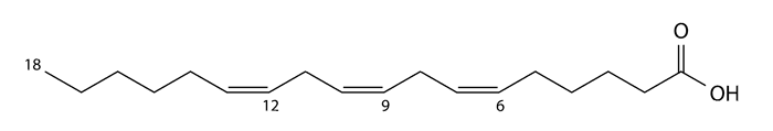 gamma linolenic acid