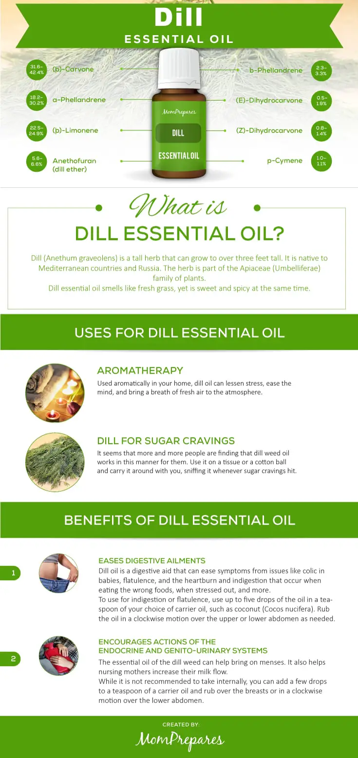 Dill infographic