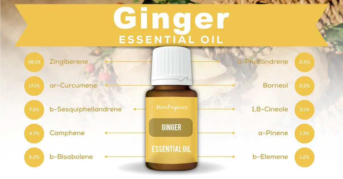 ginger essential oil constituents 