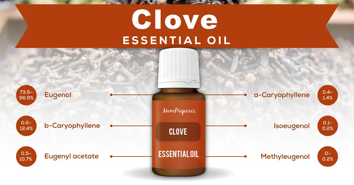 Clove Bud Essential Oil The Complete Uses and Benefits Guide