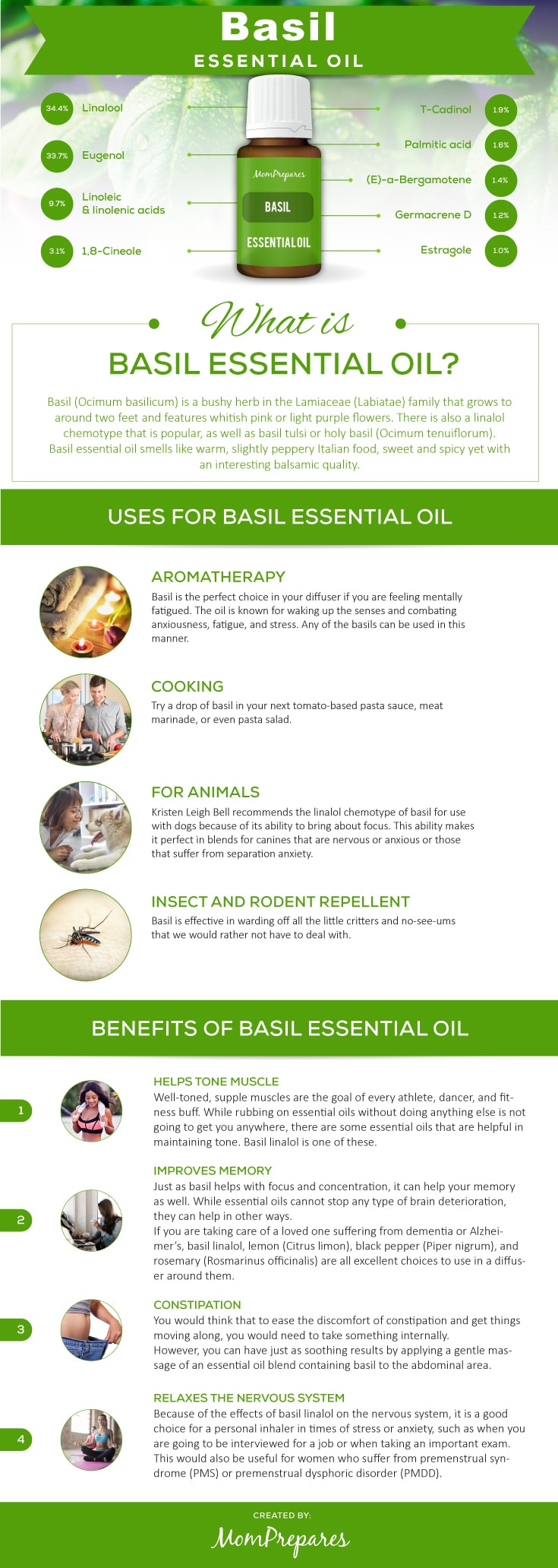 Basil infographic