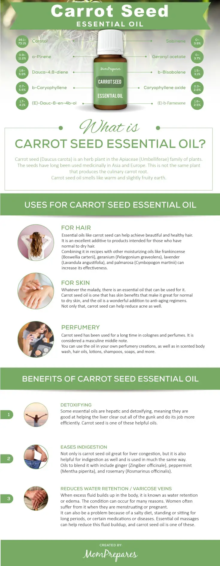 Carrot Seed infographic