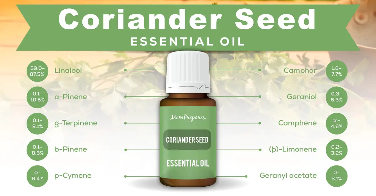 coriander oil