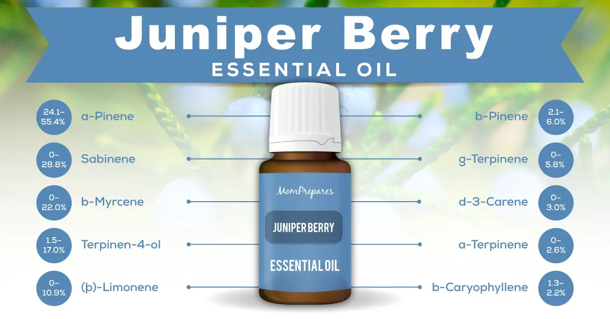 juniper-berry-essential-oil-the-complete-uses-and-benefits-guide