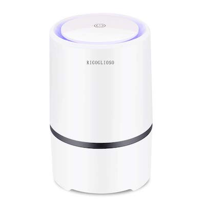 RIGOGLIOSO Air Purifier