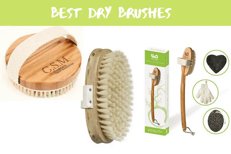 Best Dry Brushes