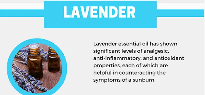 Lavender Oil for Sunburn