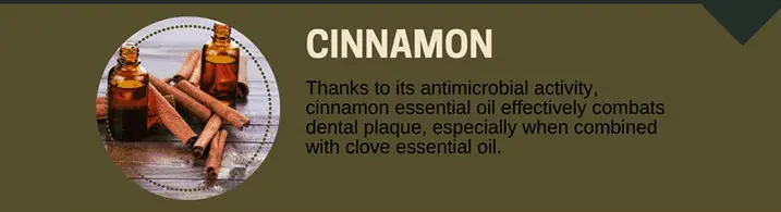 Cinnamon Oil for Toothaches