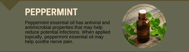 Peppermint Oil for Toothaches