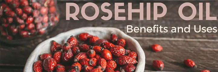 Rosehip Uses and Benefits