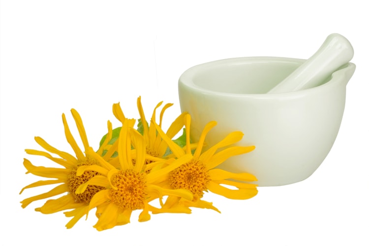 Arnica Oil Safety